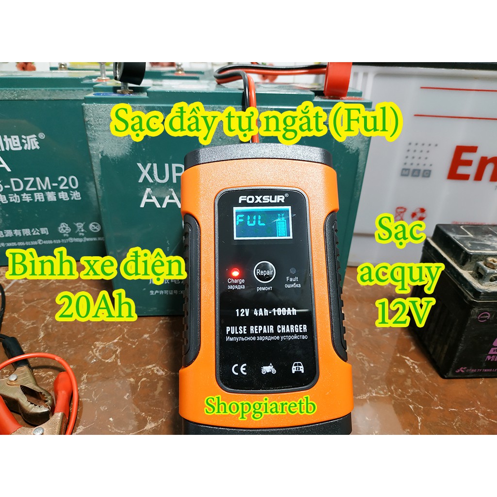 ( Hàng chính hãng - Bảo hành 1 đổi 1) sạc bình ắc quy 12v 100Ah foxsur có khử sunfat