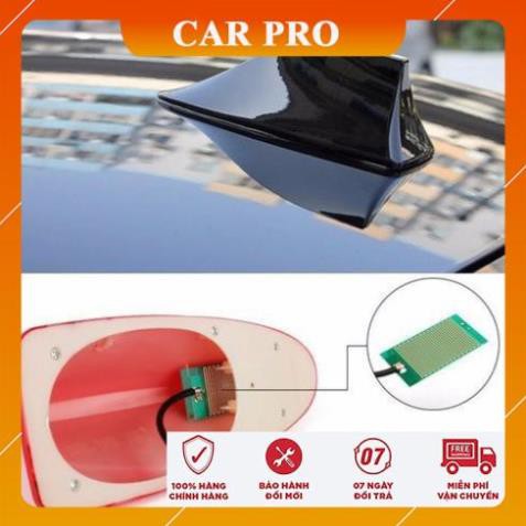  Vây cá mập có ăng ten ô tô xe hơi loại 1 không gioăng - CAR PRO