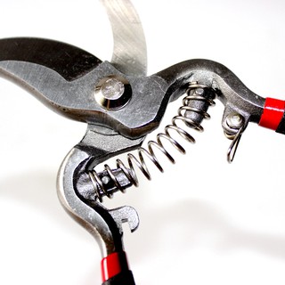 Kéo cắt tỉa cành cây thép sắc bén vĩnh viễn