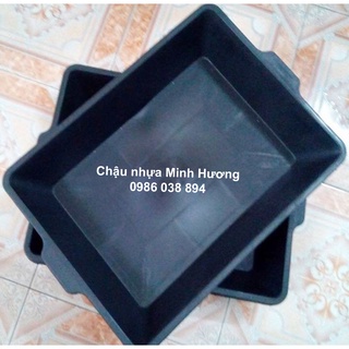 Khay trồng rau mầm