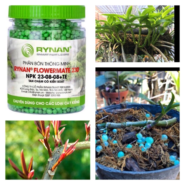 Combo 5 hũ Phân bón tan chậm NPK có kiểm soát (200-230-240)