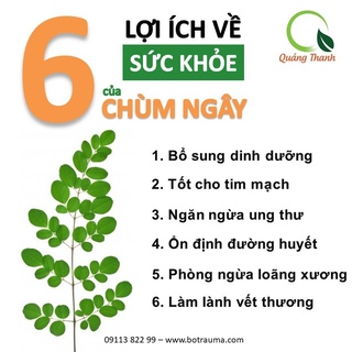 Bột chùm ngây Quảng Thanh ,  gói 100gr