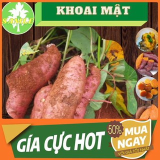 khoai Lang Mật, Khoai Lang, Khoai Mật, Khoai Lang Mật Đà Lạt,Khoai Mật Tà Nung, Khoai Lang Mật Ong - Sam Le Shop