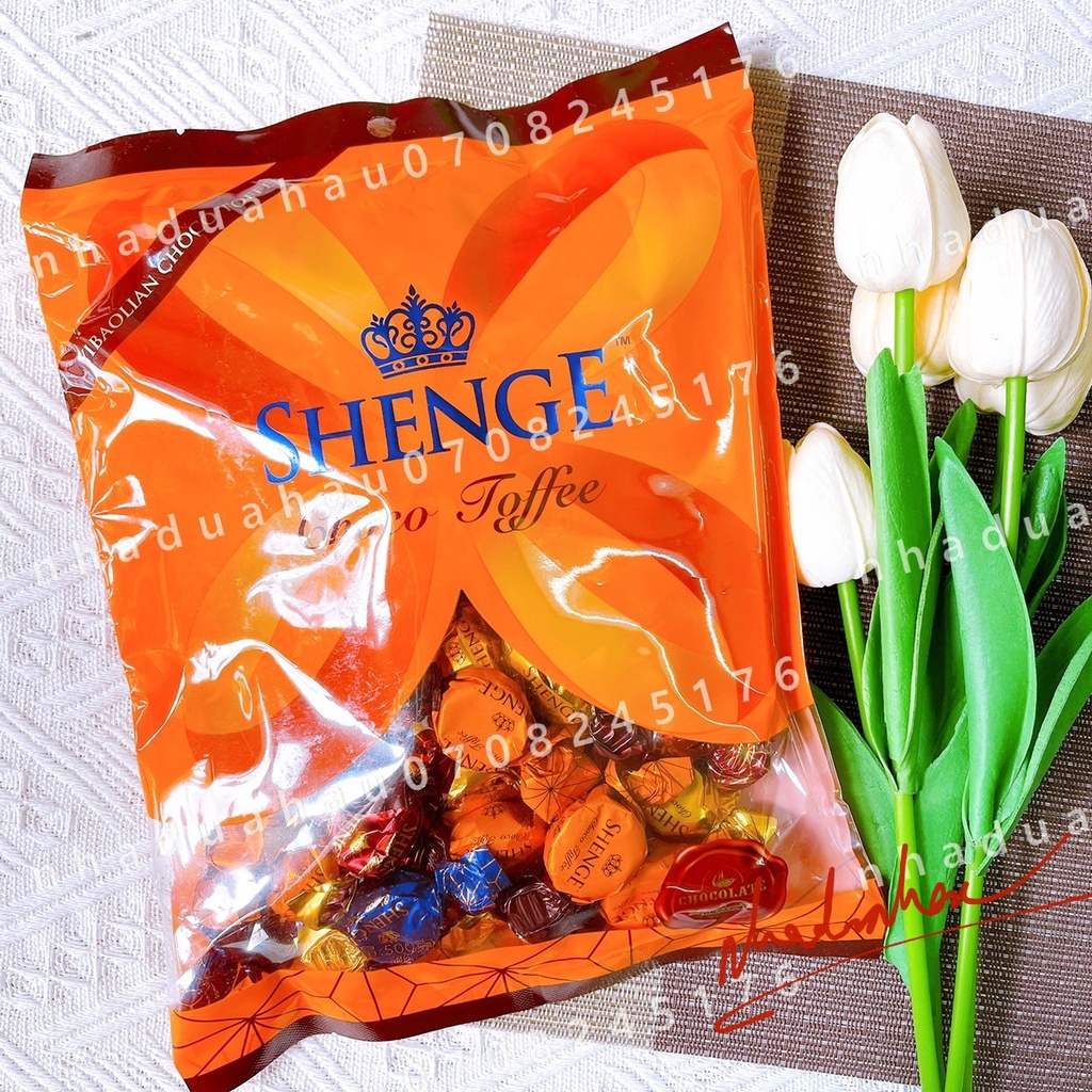 HOT NOEL - Một gói sô cô la nhân coffee/ trái cây Shenge Yibaolian NGA gói lớn 500gam