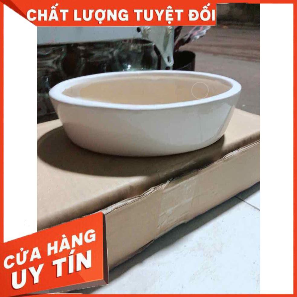 Chậu Trồng Cây Nhiều Người Mua