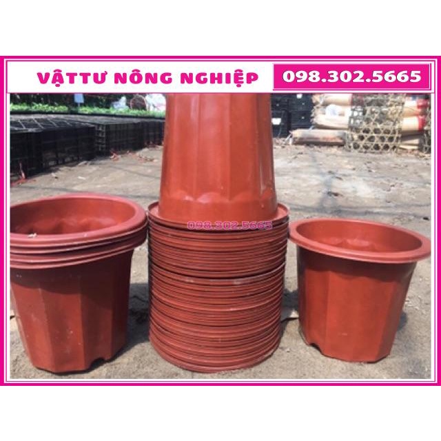 Combo 10 chậu nhựa trồng cây E280 (Kt: 23x15x20cm)