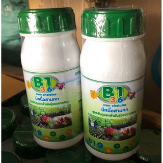 B1 3.6 - Chuyên Dùng Làm Hoa Lên Màu - Hàng Thái Lan Chai Nguyên Zin 500ml