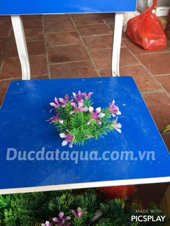 Cây hoa cỏ nhựa cao cấp