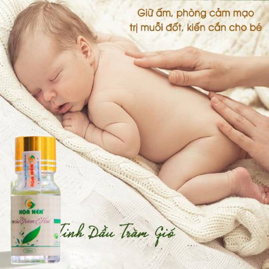 Tinh dầu tràm huế Hoa Nén giữ ấm, phòng cảm muỗi đốt kiến căn cho bé lọ 50ml và 100ml