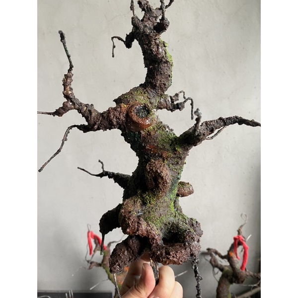 Gốc bonsai, thân cây bonsai Mẫu tử 25cm,làm hoa mai đào,hoa Handmade trang trí nhà cửa