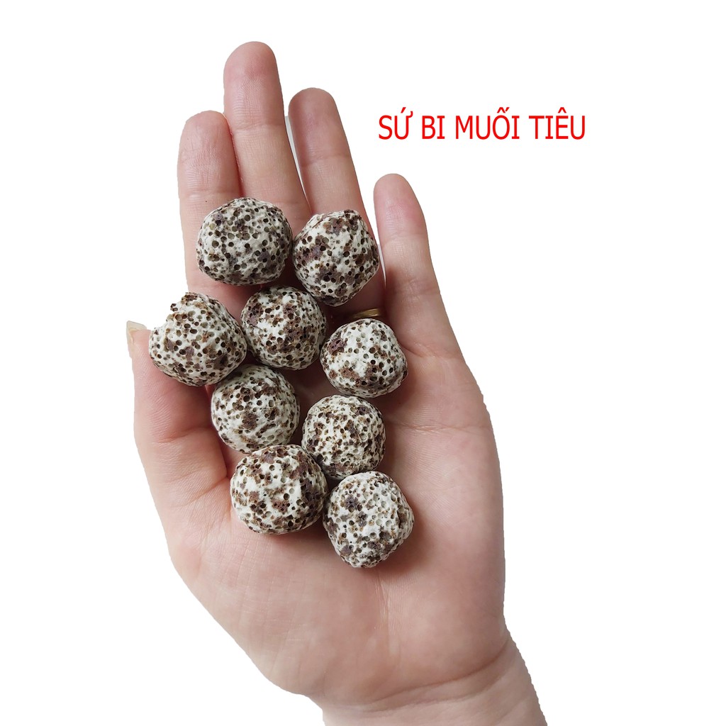 100g SỨ BI Muối Tiêu Vật liệu lọc cho hồ cá cảnh