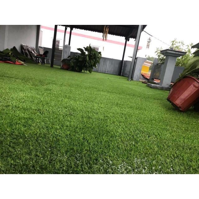 CỎ NHUNG NHẬT - Loại cỏ trồng trang trí, sạch và đẹp. GÓI NHỎ 50 HẠT