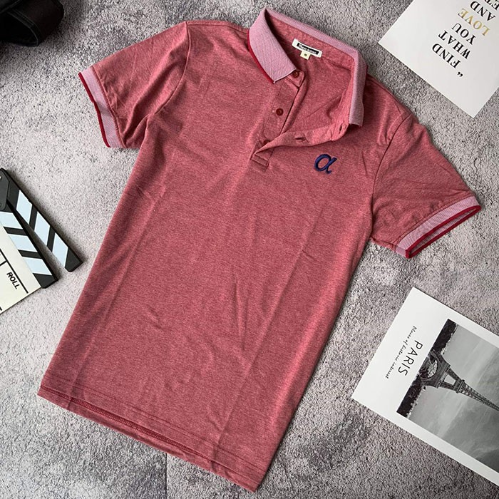 [XẢ KHO] Áo polo nam trơn phối viền tay ngắn ALPHA cao cấp RCP021A - áo thun nam đẹp form rộng Riooshop | BigBuy360 - bigbuy360.vn