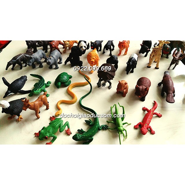 Mô hình 36 động vật hoang dã mini Safari - bé học thế giới xung quanh