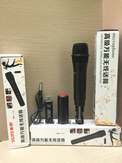 Micro không dây Daile V10