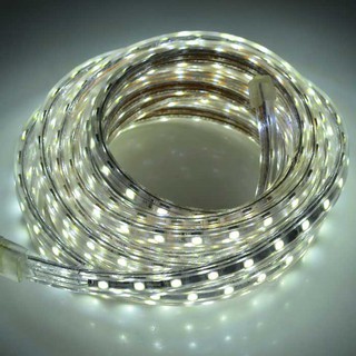 LED dây 220V 5050 5M
