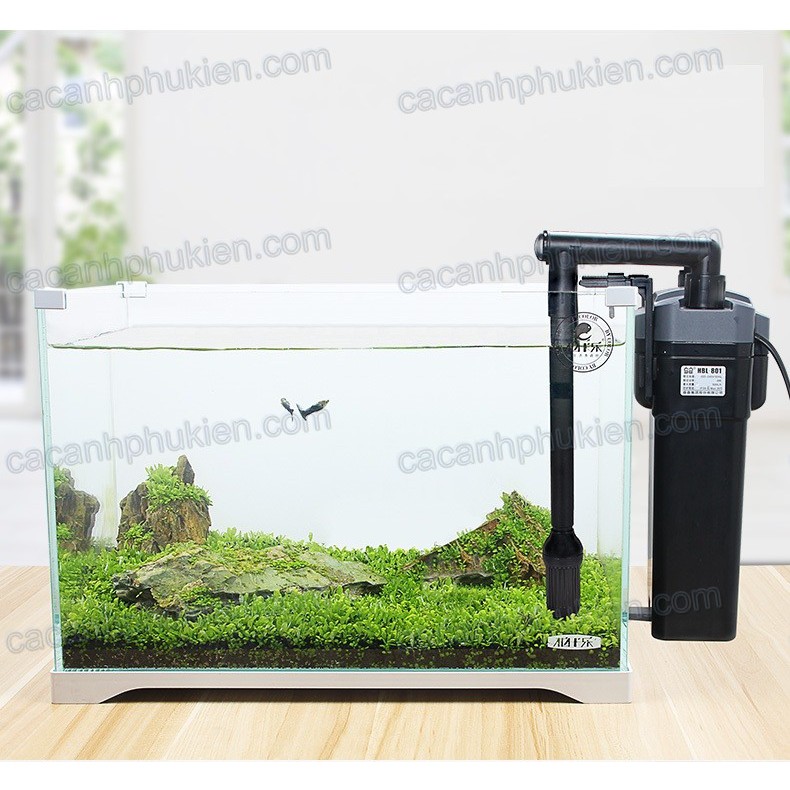Lọc sunsun Hbl801 Hbl802 Hbl803