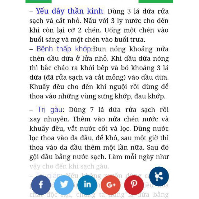 100g trà lá dứa (lá nếp thơm) | BigBuy360 - bigbuy360.vn