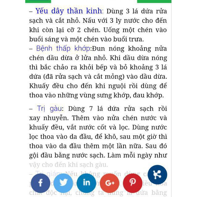 100g trà lá dứa (lá nếp thơm)