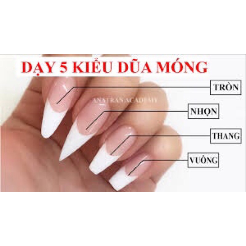 Nailbox-Móng tay thiết kế tự gắn tại nhà 03