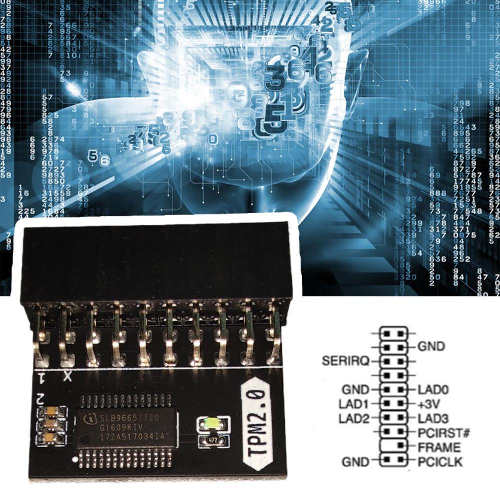 Phụ kiện chuyên dụng cho ASUS TPM-L R2.0 TPM  U1P3