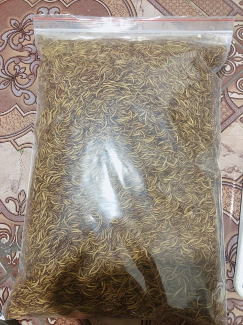 Sâu gạo sấy - Gói 500g. Sâu gạo cho thú nuôi.