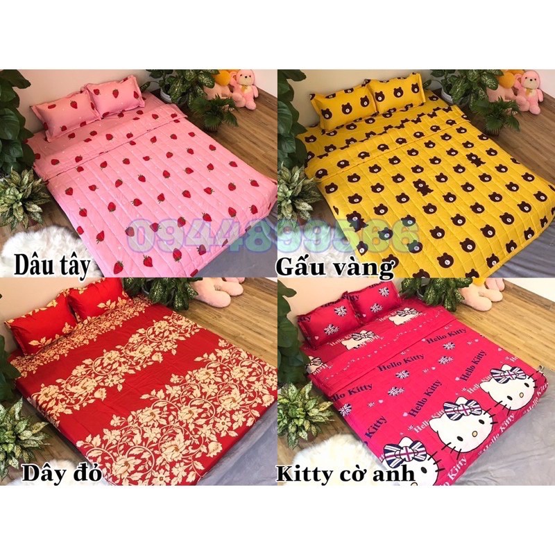 Vỏ gối ôm cotton poly nhiều mẫu