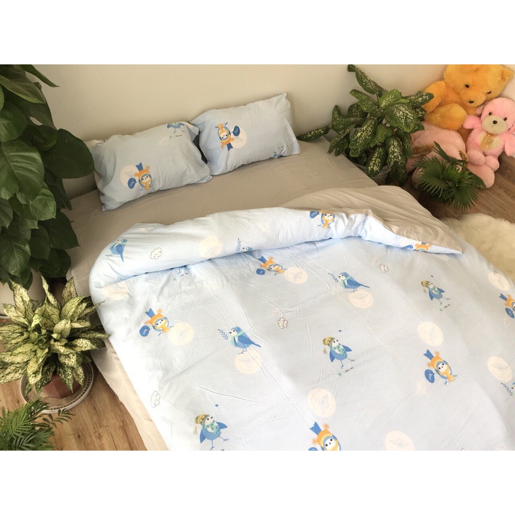 Set Chăn Ga Gối Đũi Cotton Muji Cao Cấp