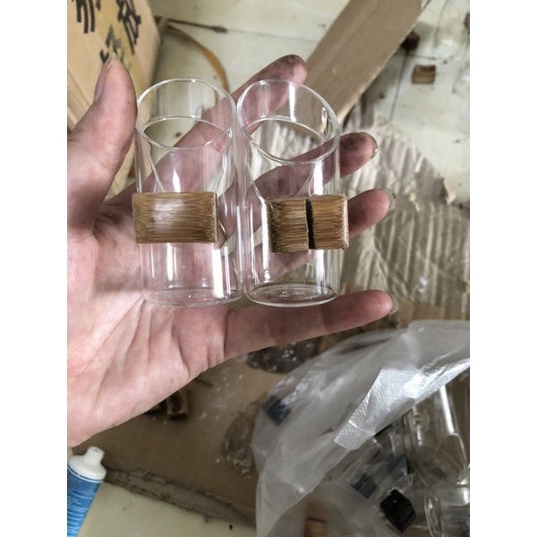 Cóng chống vẩy thuỷ tinh dành cho chim  mào choè than