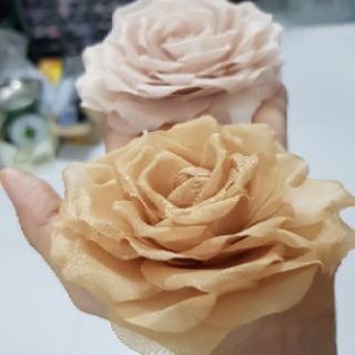 Hoa hồng voan 8 đến 9cm