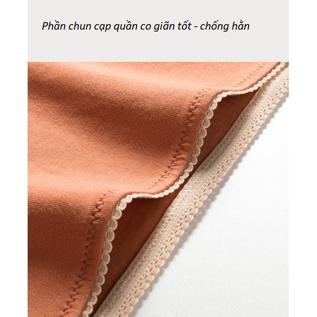 Quần Lót Cotton Thông Khí Kháng Khuẩn Viền Ren Comfortable P284