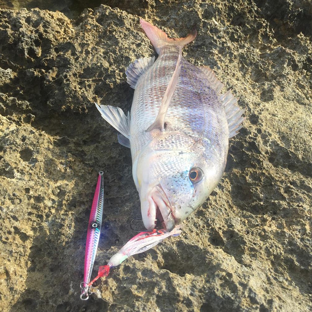 Set 5/6/7/10/12/15 Mồi Câu Cá Nhân Tạo Chuyên Dụng