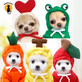 Áo hoodie cosplay hoa quả siêu đáng yêu cho thú cưng