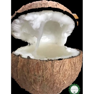 Dừa Sáp (Cơm Siêu Dày)_Combo 2 Trái Dừa Sáp Đặc Biệt