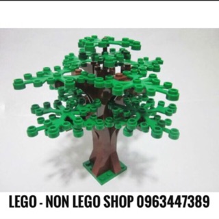 Cây Xanh Tự Moc ( 1 cây )