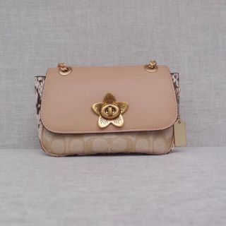 TÚI COACH MẪU MỚI 2019