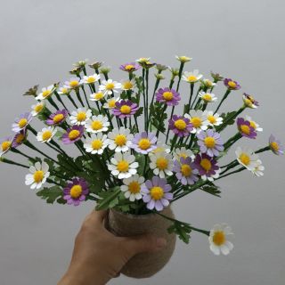 SET NGUYÊN LIỆU LÀM 50 BÔNG CÚC TANA