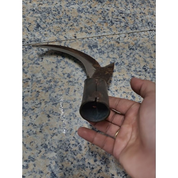 Cu Liêm Hái Dừa ống nói liền