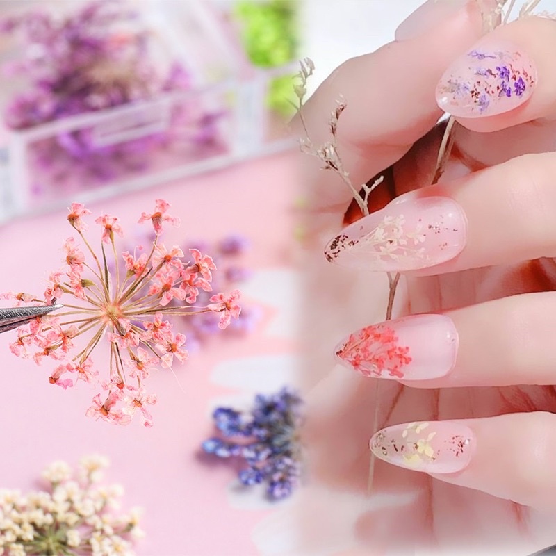 Hoa khô chùm đắp gel ẩn móng - Set hoa khô nail trang trí móng