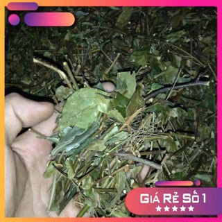 Combo 2kg lá chè vằng sẻ khô chuẩn xịn . ThaoDuocTayBac