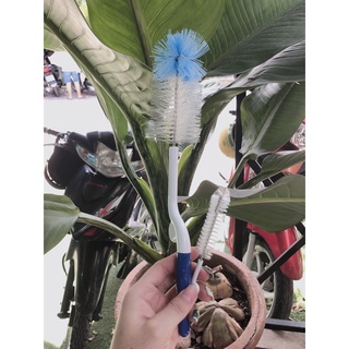 Cây Súc Bình Sữa,Cọ Rữa Bình sữa Pigeon 👶