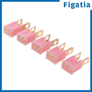 5 cầu chì 32v 30a-120a cho xe hơi