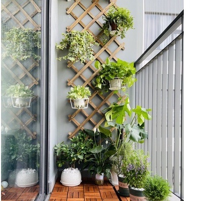 Kệ gỗ treo cây ban công trang trí treo cây hoa KT 200x 60 cm, giàn gỗ hàng rào leo cây có thể thu gọn hình mắt cáo