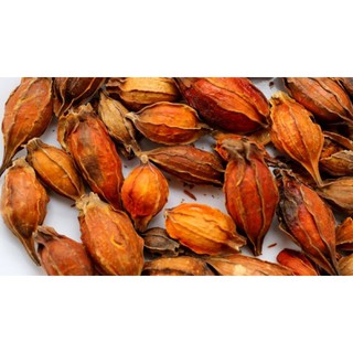 1kg Hạt Chi Tử (Hạt dành dành) hàng chuẩn