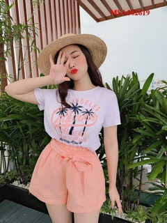 Set cây dừa