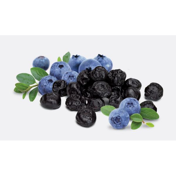 Việt quất sấy khô Only Nature 450g/túi (Blueberries)