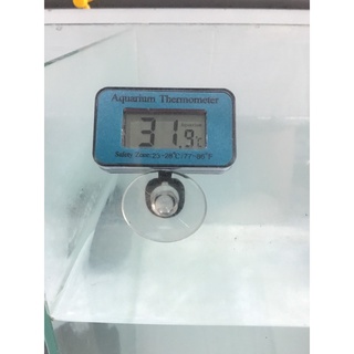 Đo Nhiệt Độ Nước Hồ Cá Điện Tử