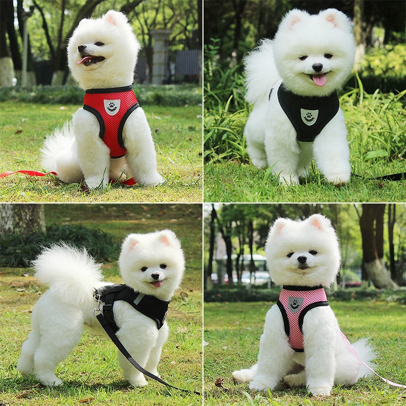 Dây Đai Lưới Mềm Dắt Thú Cưng Đi Dạo Có Thể Điều Chỉnh