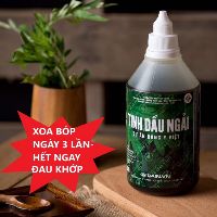 Tinh dầu ngải cứu đh y dược thái bình