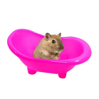 Bồn tắm cho chuột hamster